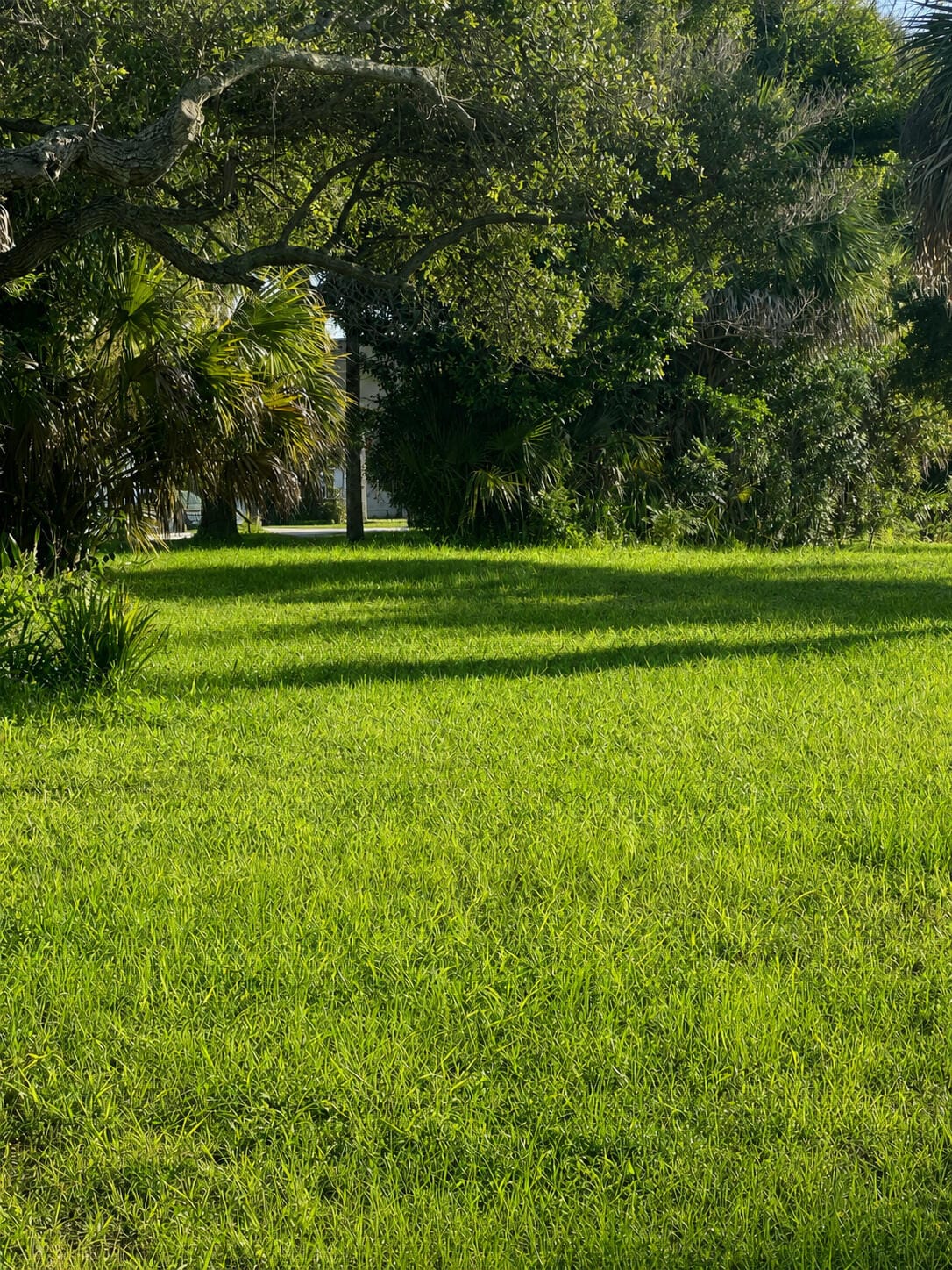 1026 Indian River Drive — photo 3