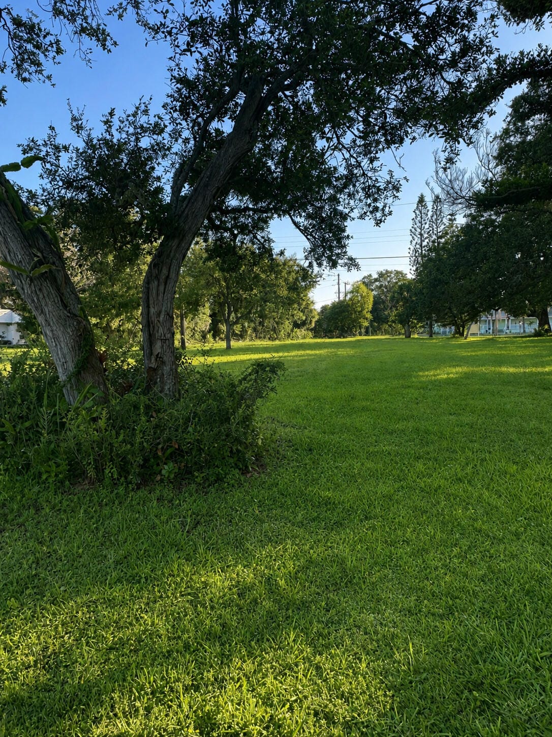 1026 Indian River Drive — photo 4