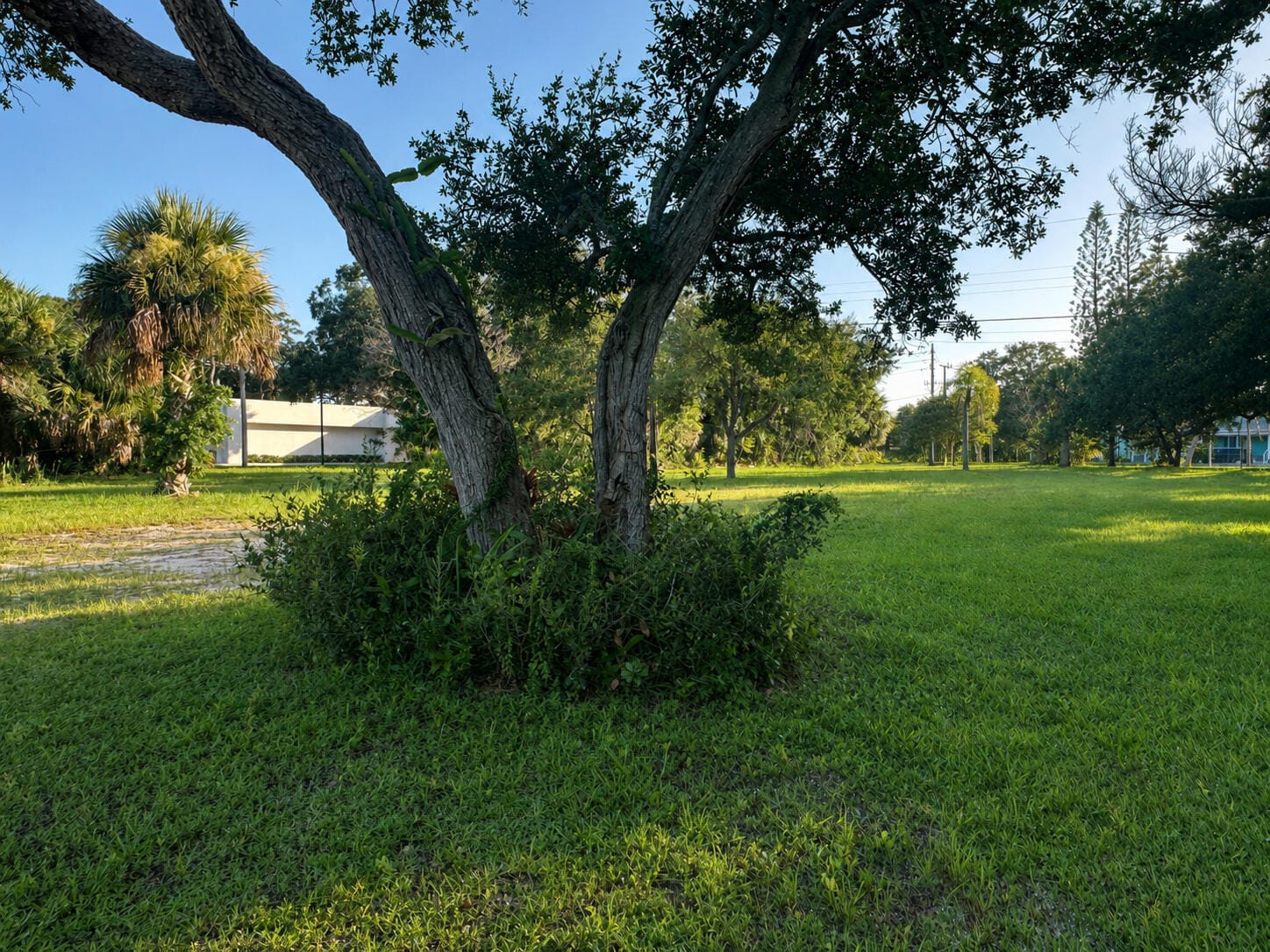 1026 Indian River Drive — photo 5