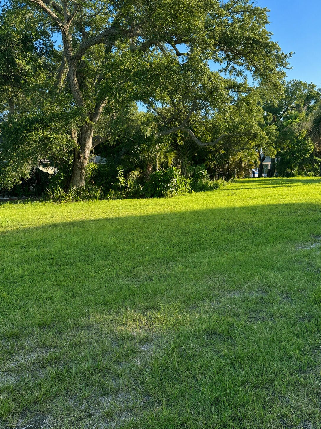 1026 Indian River Drive — photo 7