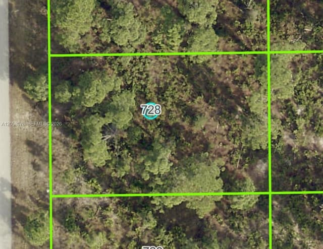 728 Pinecastle Drive, FL 33974