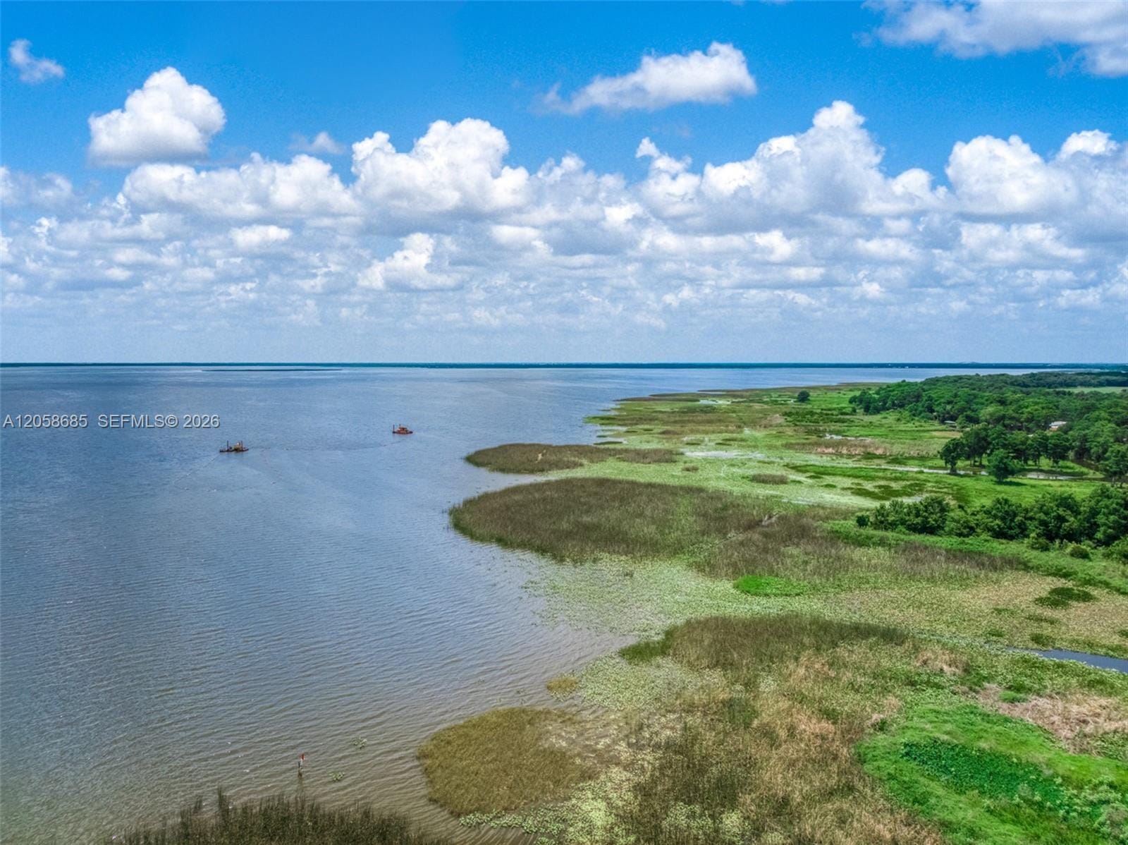 221 Speckled Perch Point — photo 11