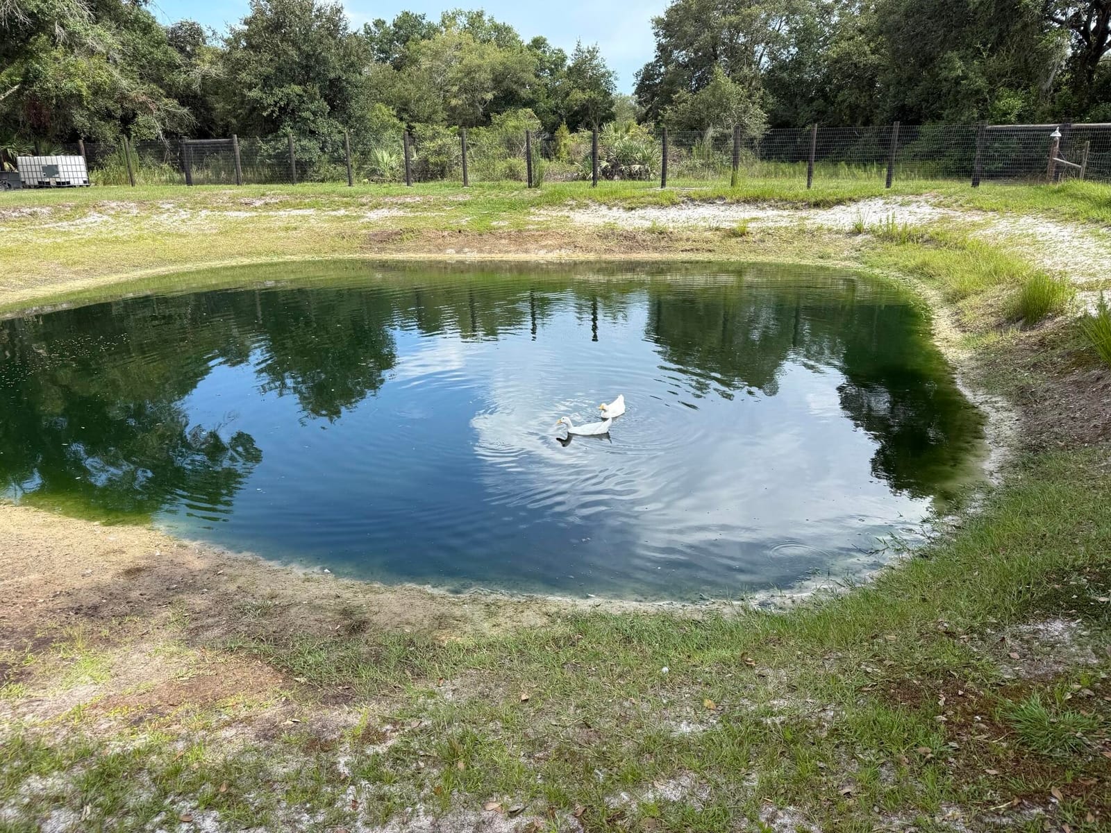 19084 NW 306TH Street, Okeechobee, FL 34972 photo 28
