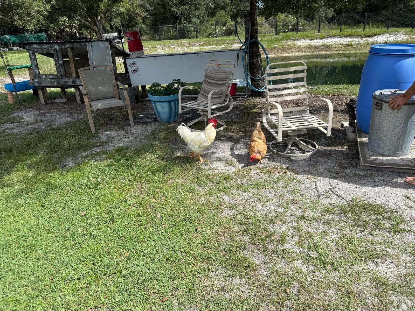 19084 NW 306TH Street, Okeechobee, FL 34972 photo 29