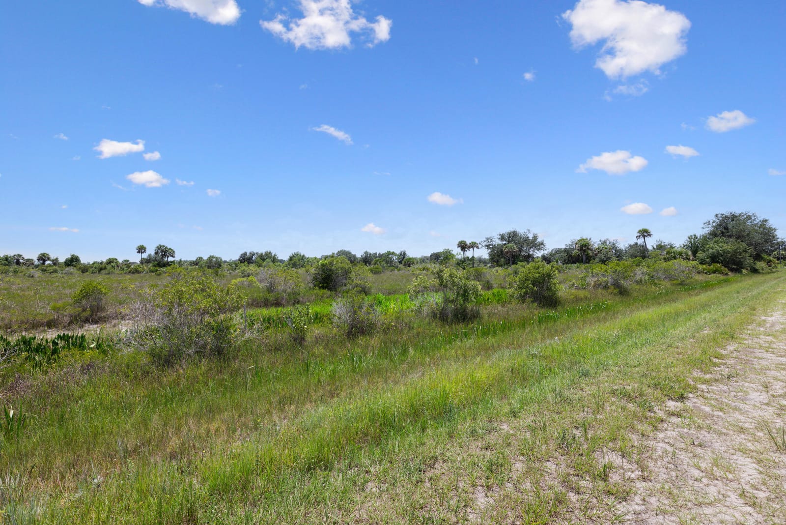 14932 NW 280TH Street, Okeechobee, FL 34972 photo 13