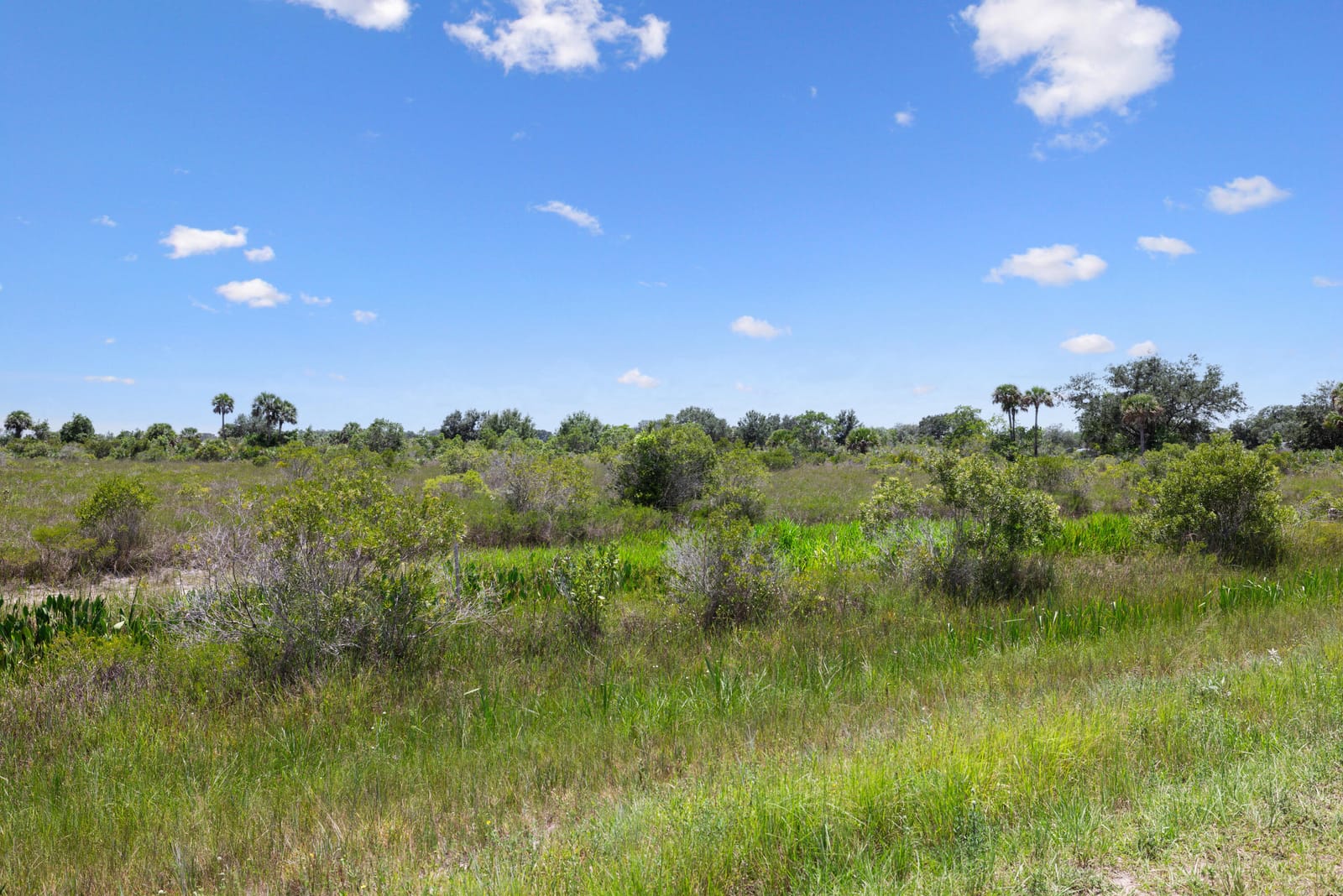 14932 NW 280TH Street, Okeechobee, FL 34972 photo 14