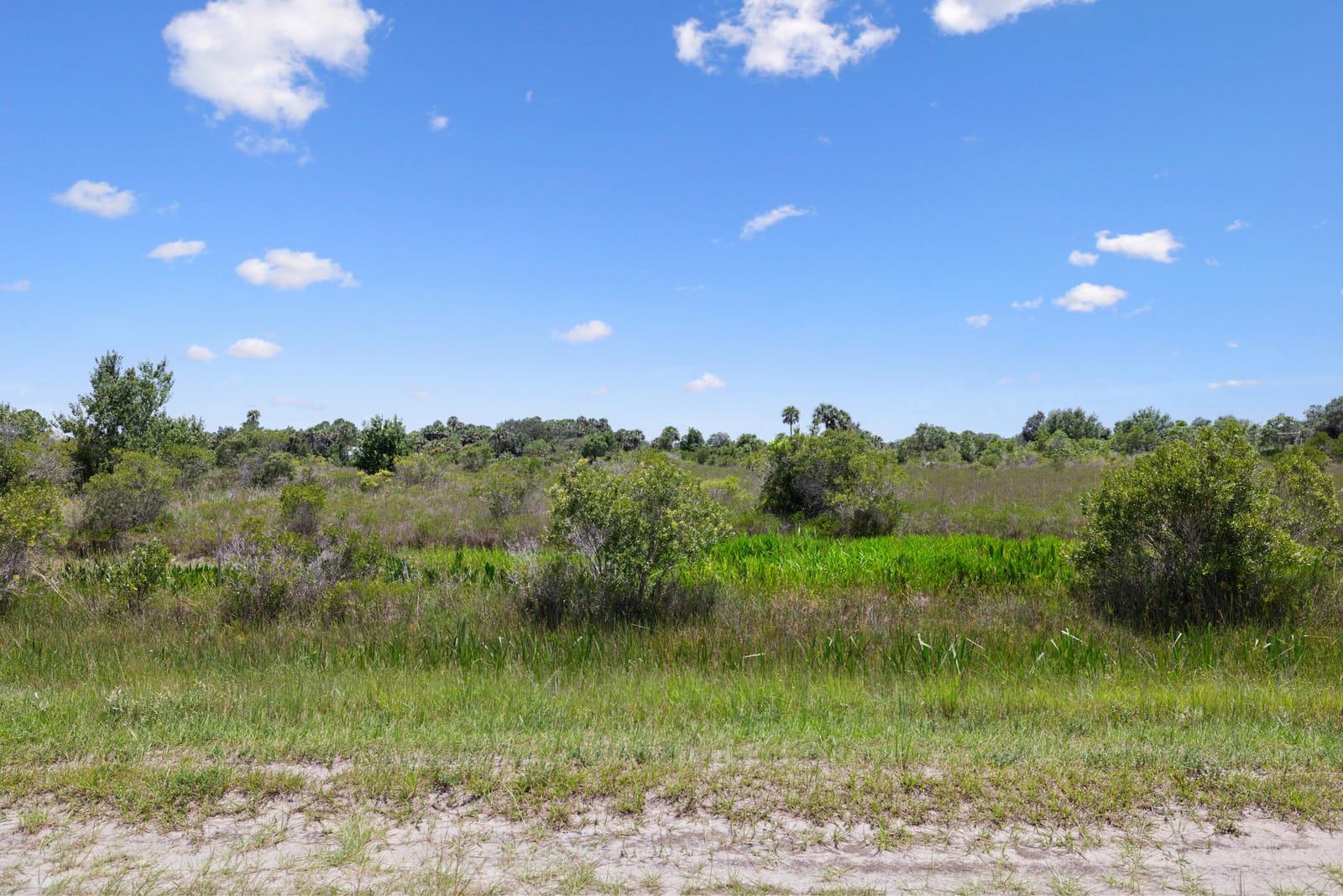 14932 NW 280TH Street, Okeechobee, FL 34972 photo 15