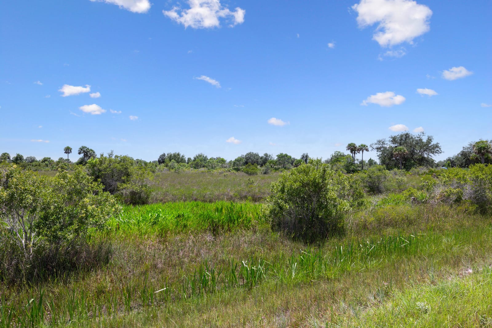 14932 NW 280TH Street — photo 4