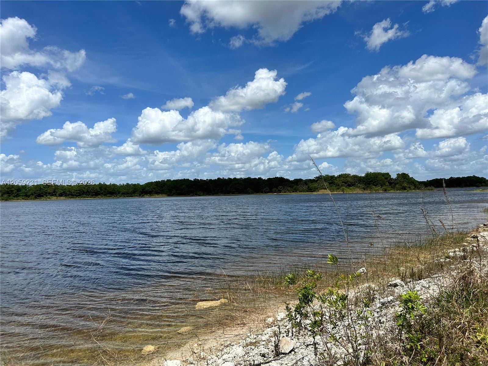 515 Shady Hollow Boulevard W, Naples, FL 34120 photo 7