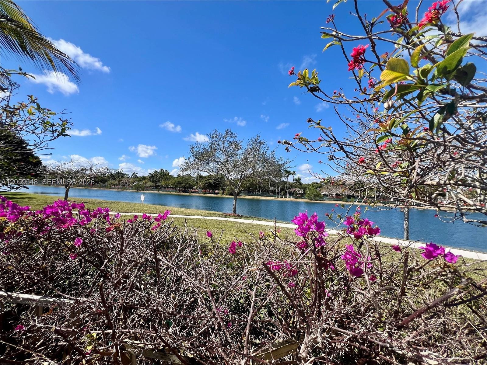 22301 SW 88th Place 304-3, Cutler Bay, FL 33190 photo 17