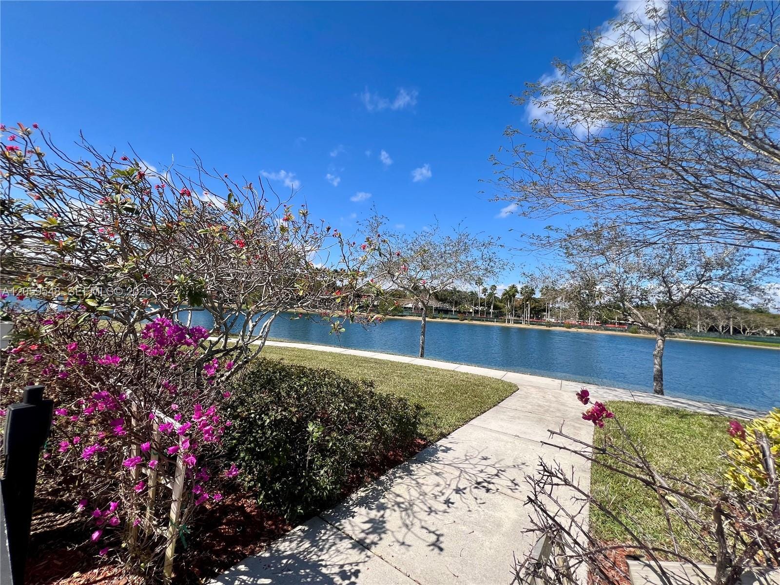 22301 SW 88th Place 304-3, Cutler Bay, FL 33190 photo 18