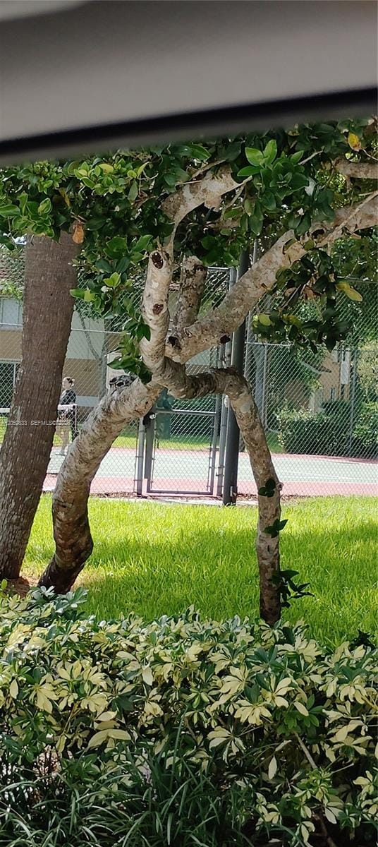 729 NW 92 Avenue 729 — photo 5