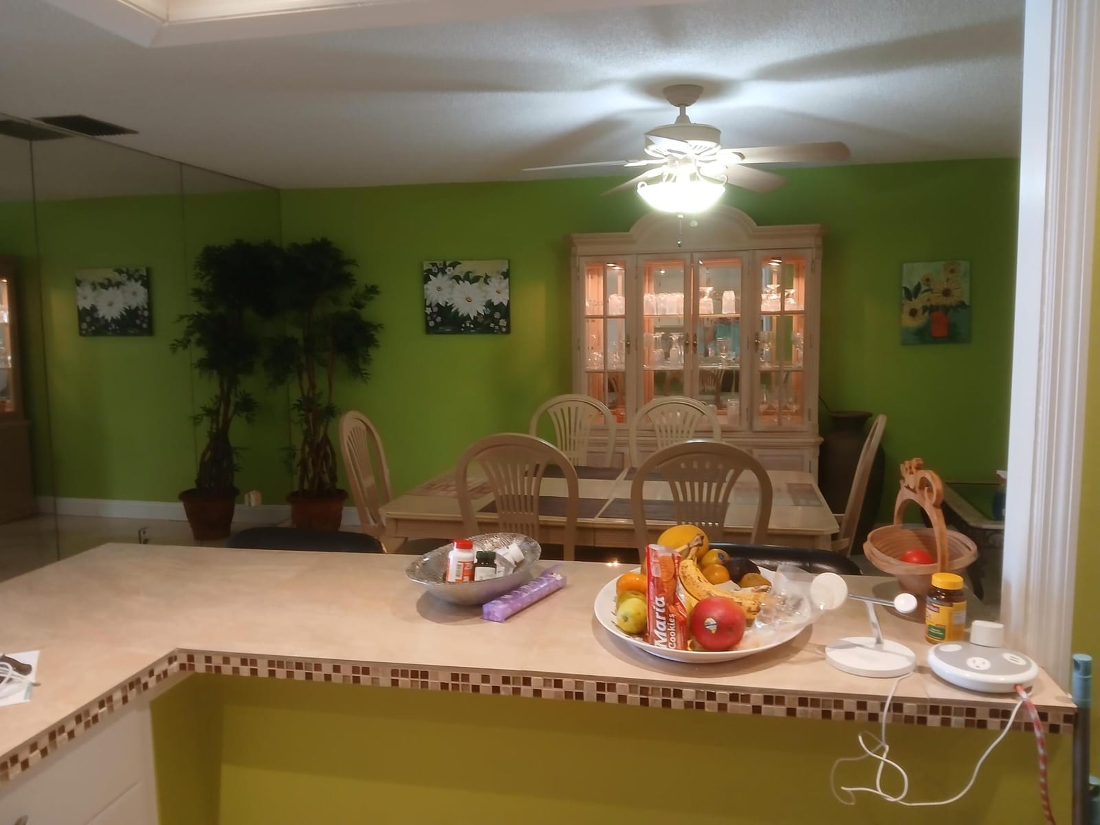 2638 GATELY Drive E 59, West Palm Beach, FL 33415 photo 5
