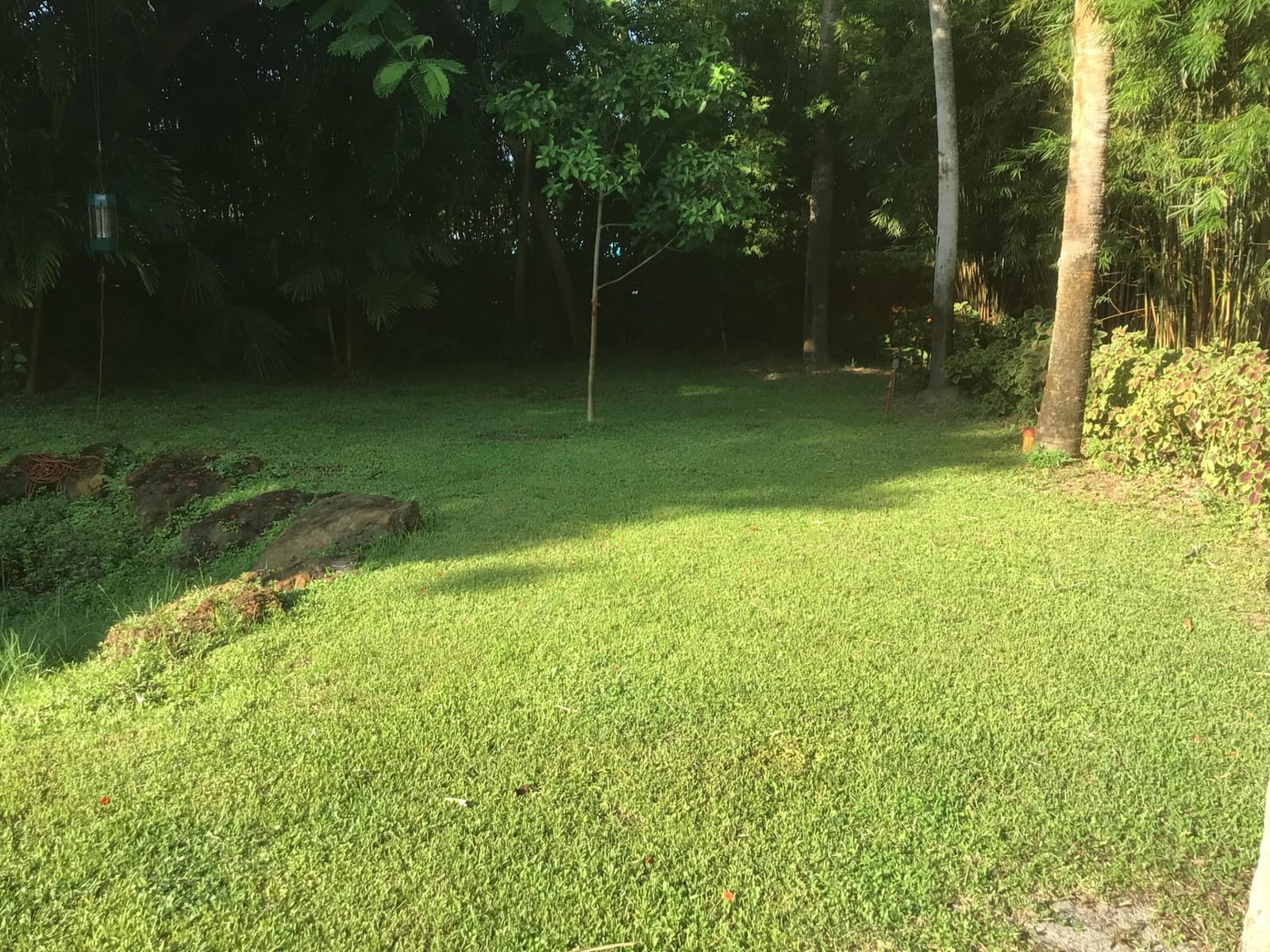 2019 SW 29th Avenue, Fort Lauderdale, FL 33312 photo 6
