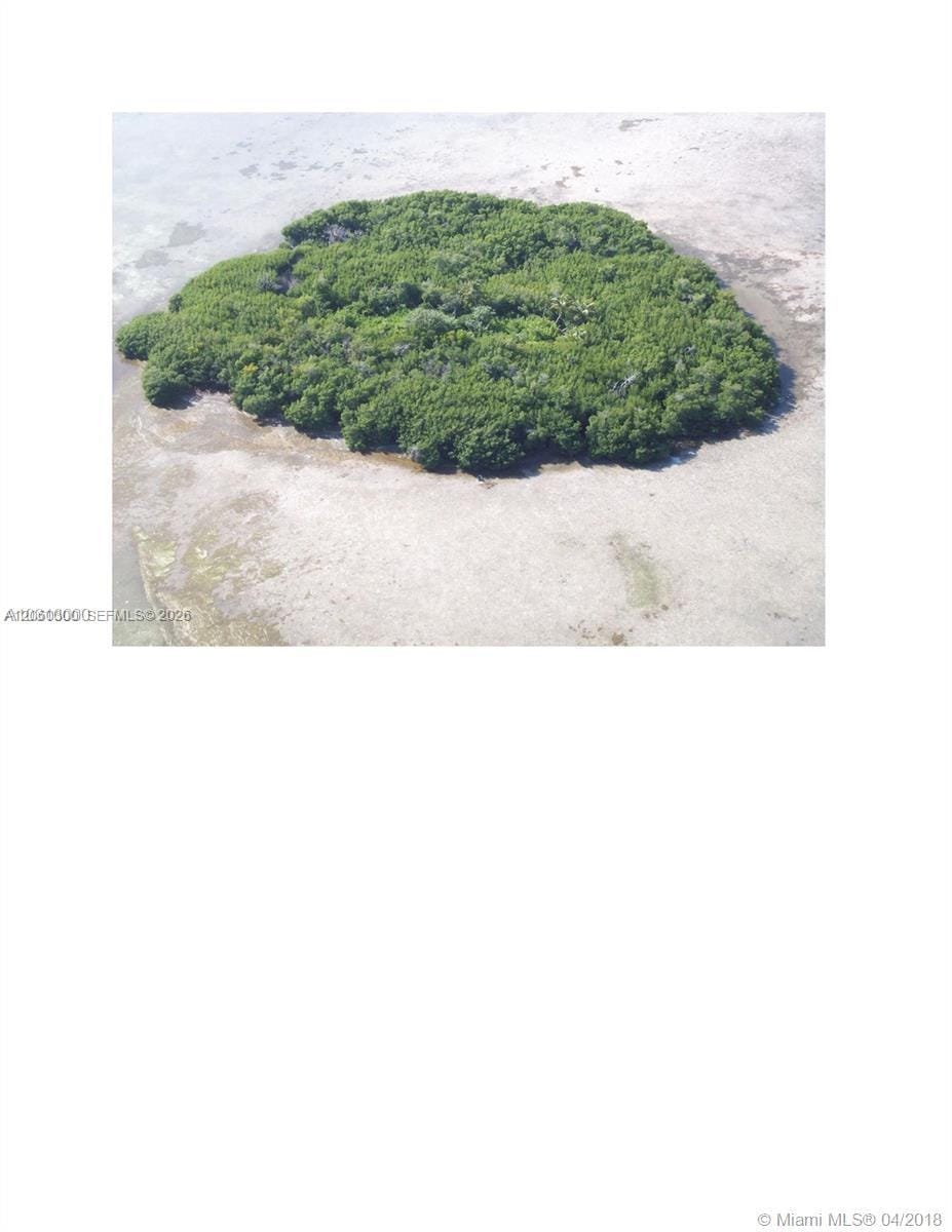 99 Don Quixote Key Big Pine Key — photo 7