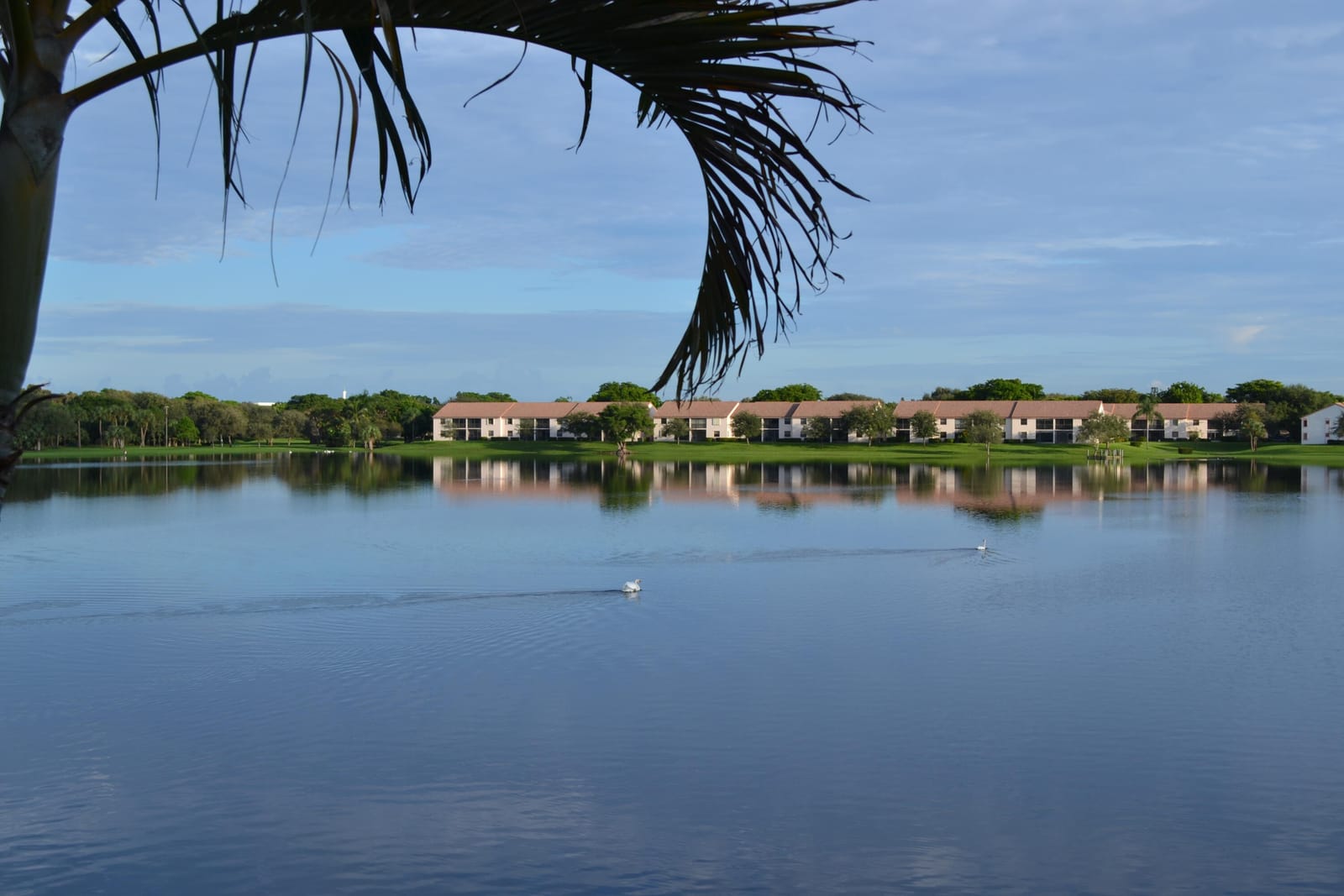 471 Ashwood Place, Boca Raton, FL 33431 photo 28