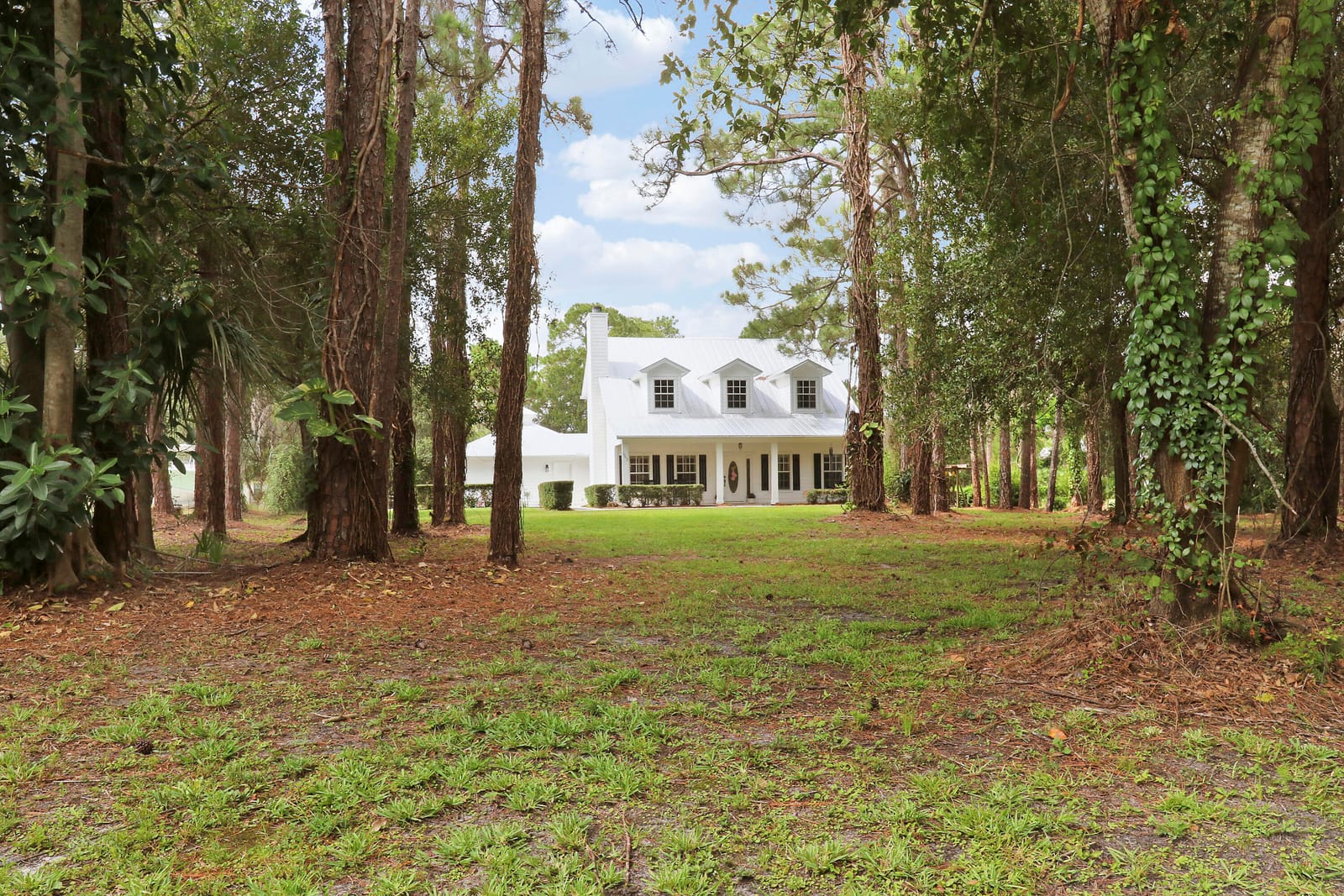 10635 Pine Needle Drive — photo 3