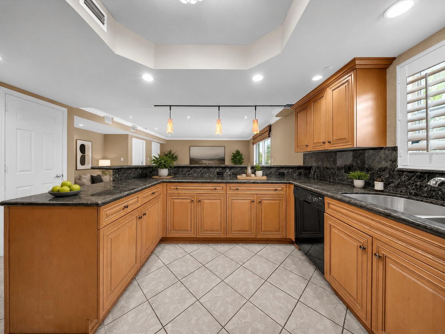 1111 E Las Olas Boulevard 308, Fort Lauderdale, FL 33301 photo 5