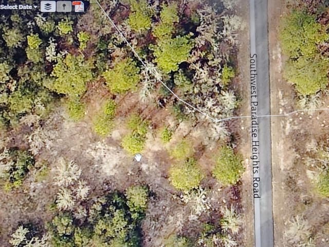 000 SW Paradise Heights Road, Rainbow Lakes Estate, Dunnellon, FL