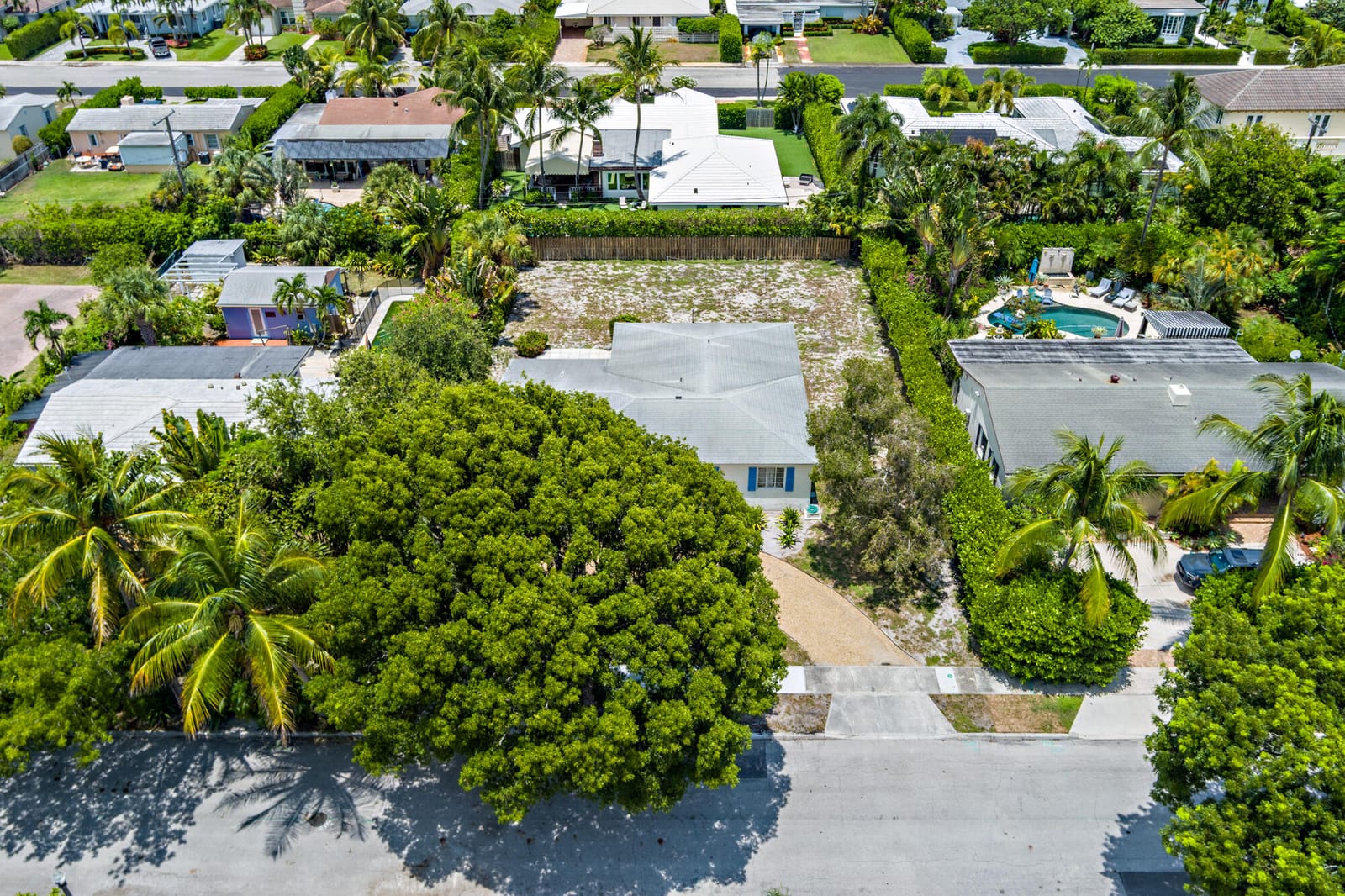 223 Ashworth Street, West Palm Beach, FL 33405 photo 3
