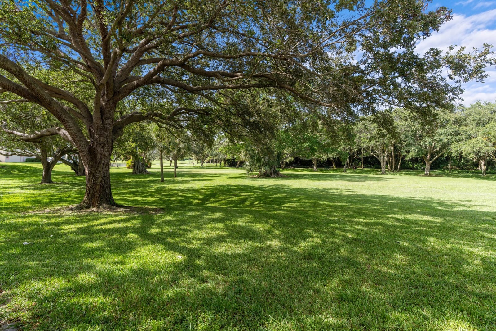 3300 Jaywood Terrace J116, Boca Raton, FL 33431 photo 14