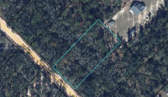 Grove Lane Grove Lane Grove Lane, FL 32448