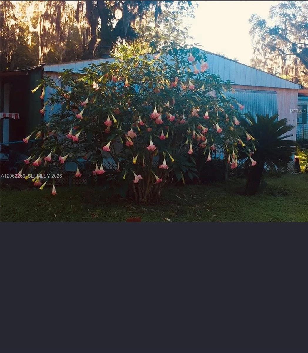 5904 S Harvey, Riverview, FL 33578 photo 5