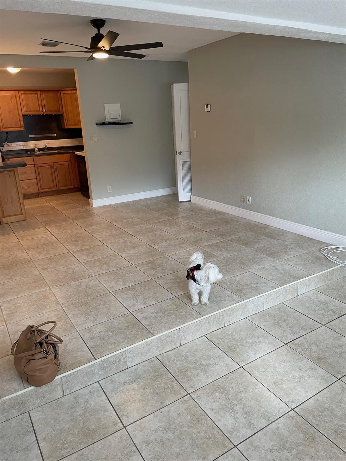 319 SW 15TH Street, Fort Lauderdale, FL 33315 photo 6