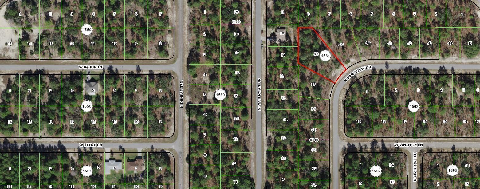 3617 W PARKVIEW Drive, Dunnellon, FL 34433 photo 2