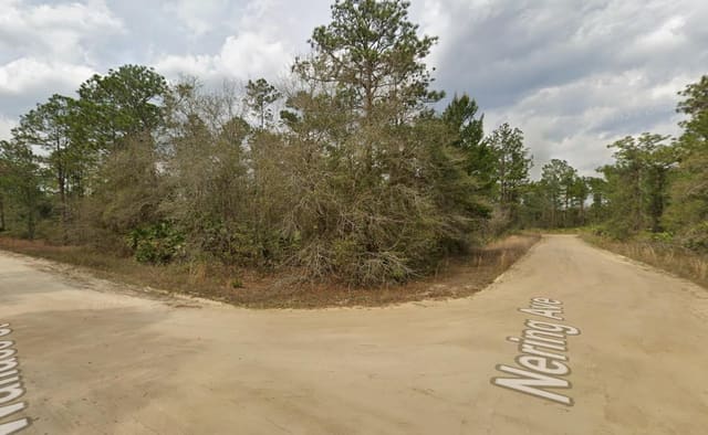 Tbd Wallace Street, Interlachen, FL 32148