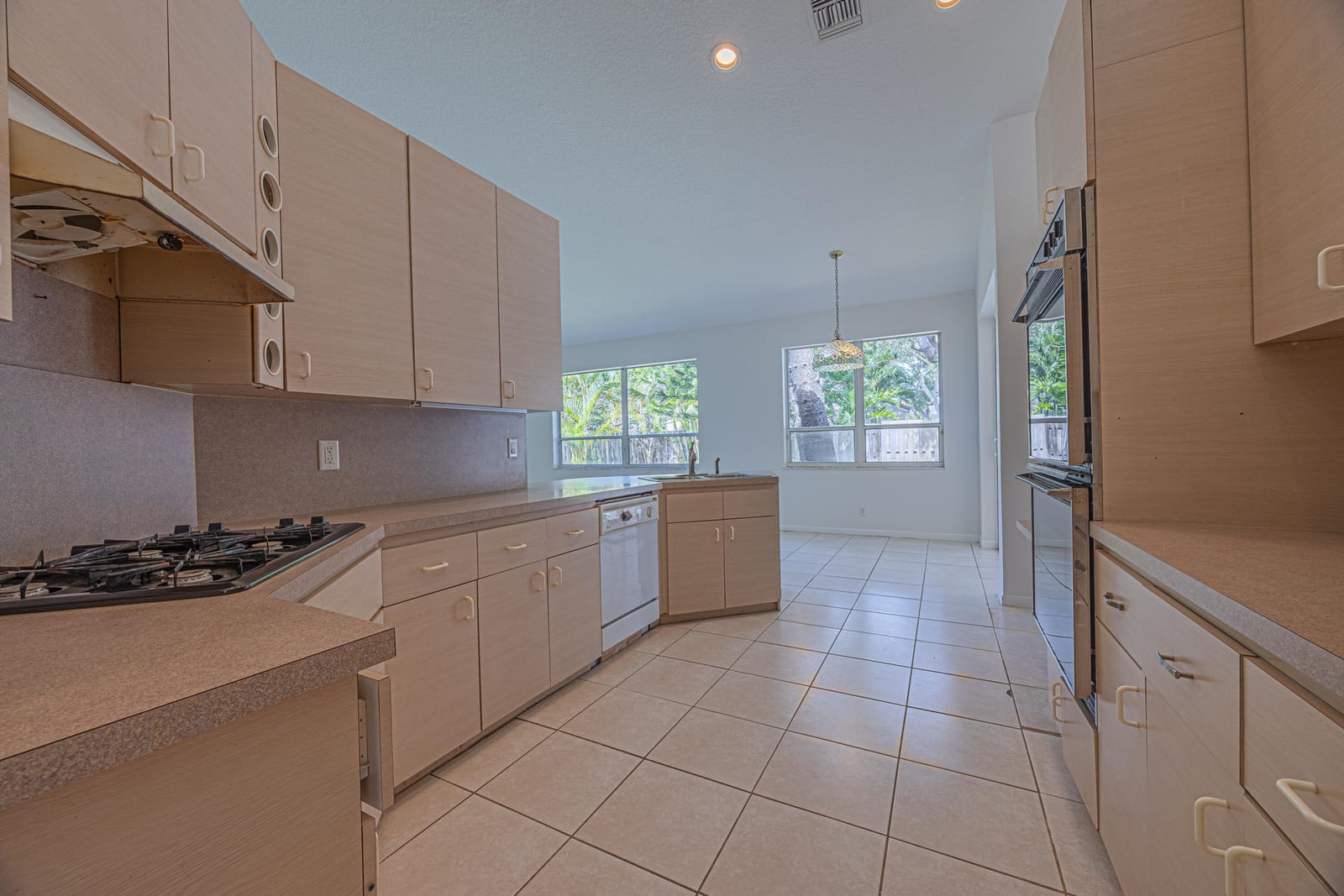 10206 ALLAMANDA Boulevard — photo 4