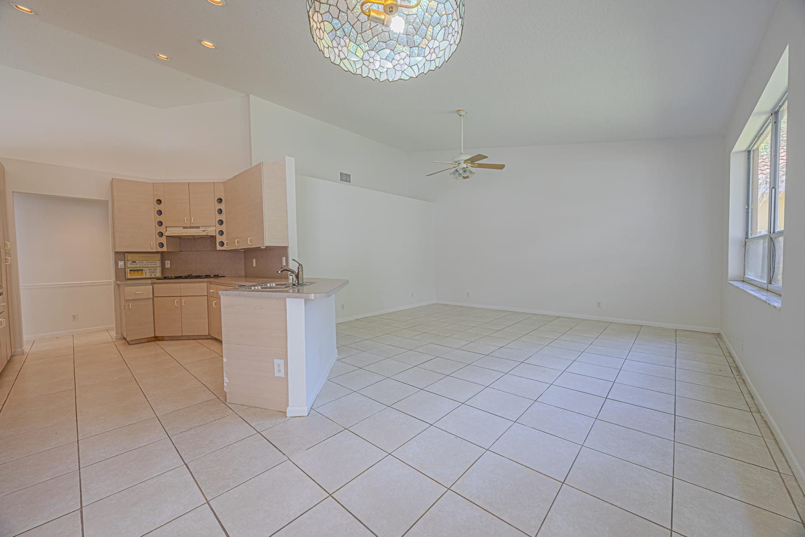10206 ALLAMANDA Boulevard — photo 6