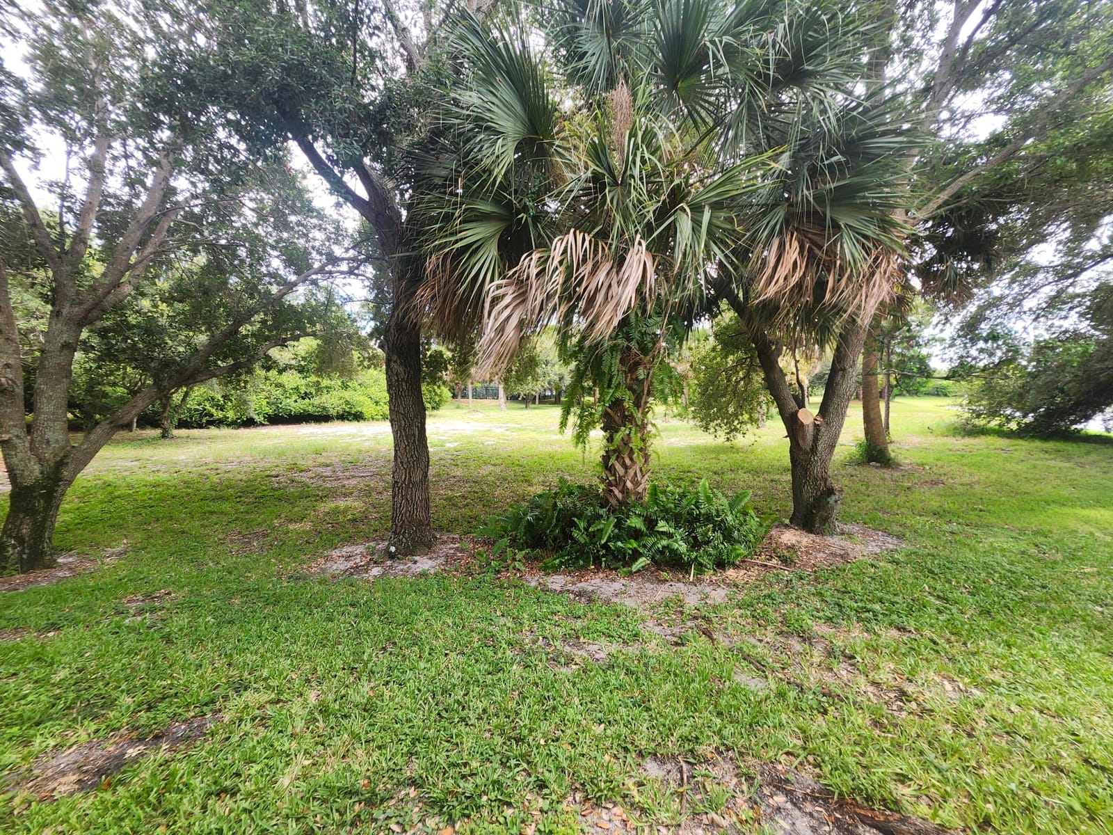 3189 Laurel Ridge Circle, Riviera Beach, FL 33404 photo 16