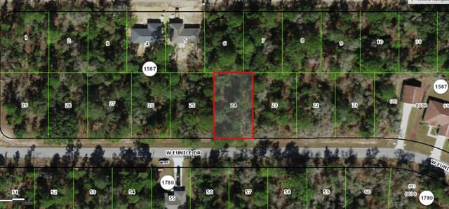 3059 W EUNICE Drive, Citrus Springs, Dunnellon, FL