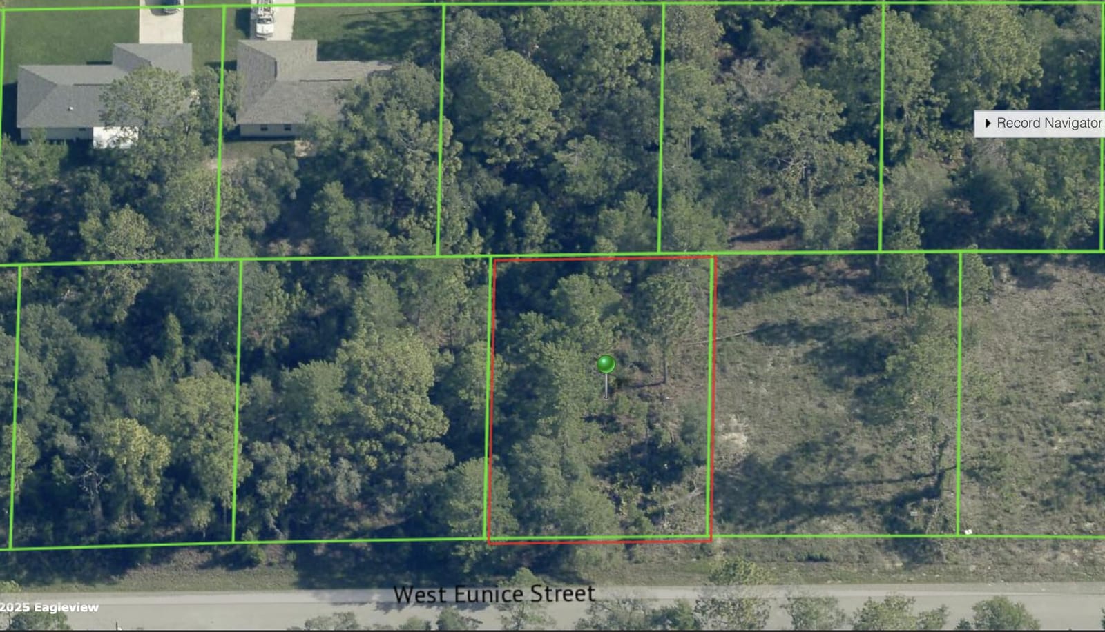 3059 W EUNICE Drive, Dunnellon, FL 34433 photo 1