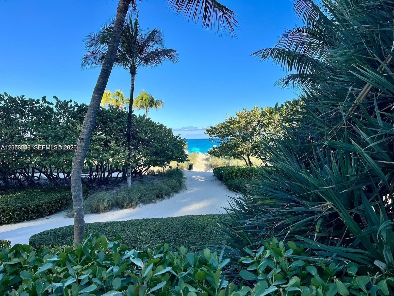 10185 Collins Avenue 1215 — photo 4