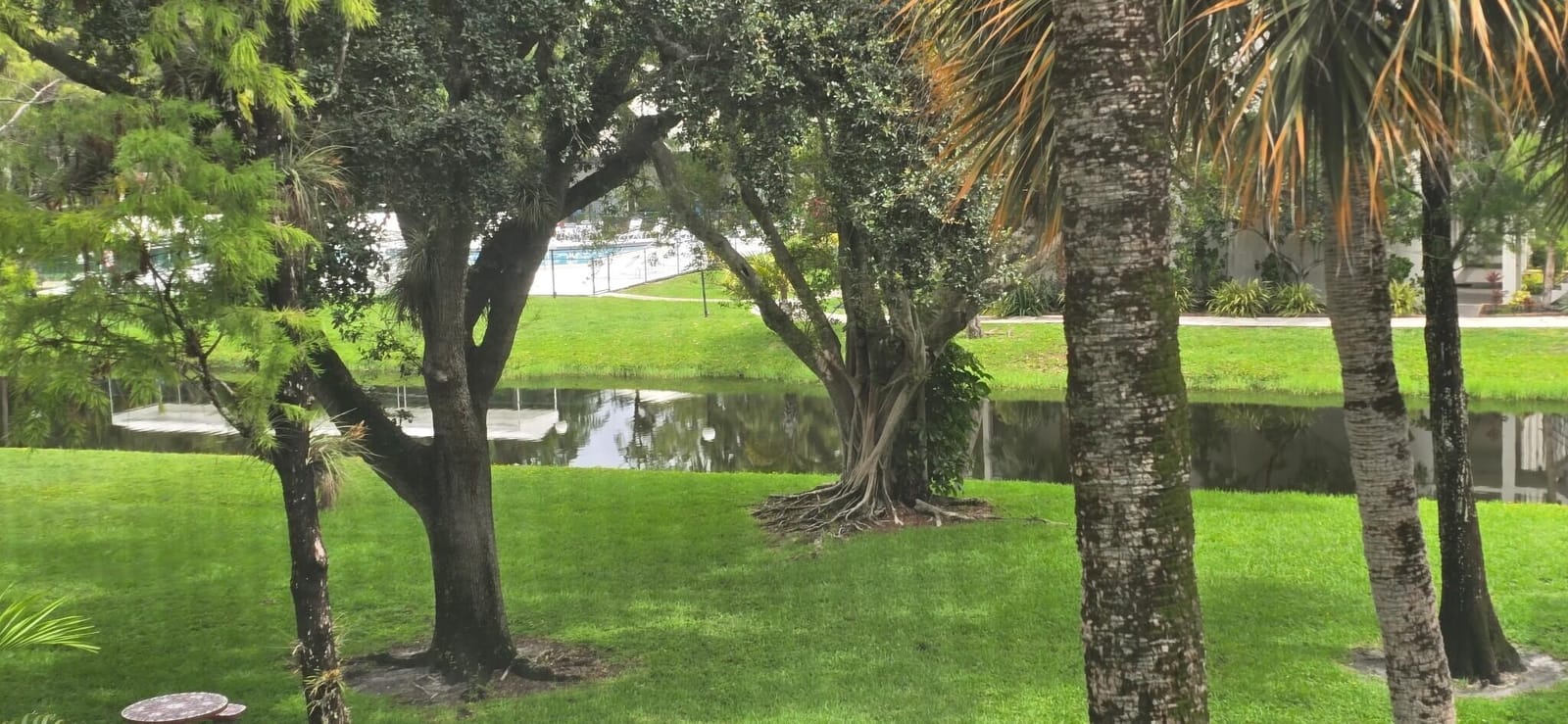 4851 NW 26TH Court 338, Lauderdale Lakes, FL 33313 photo 17