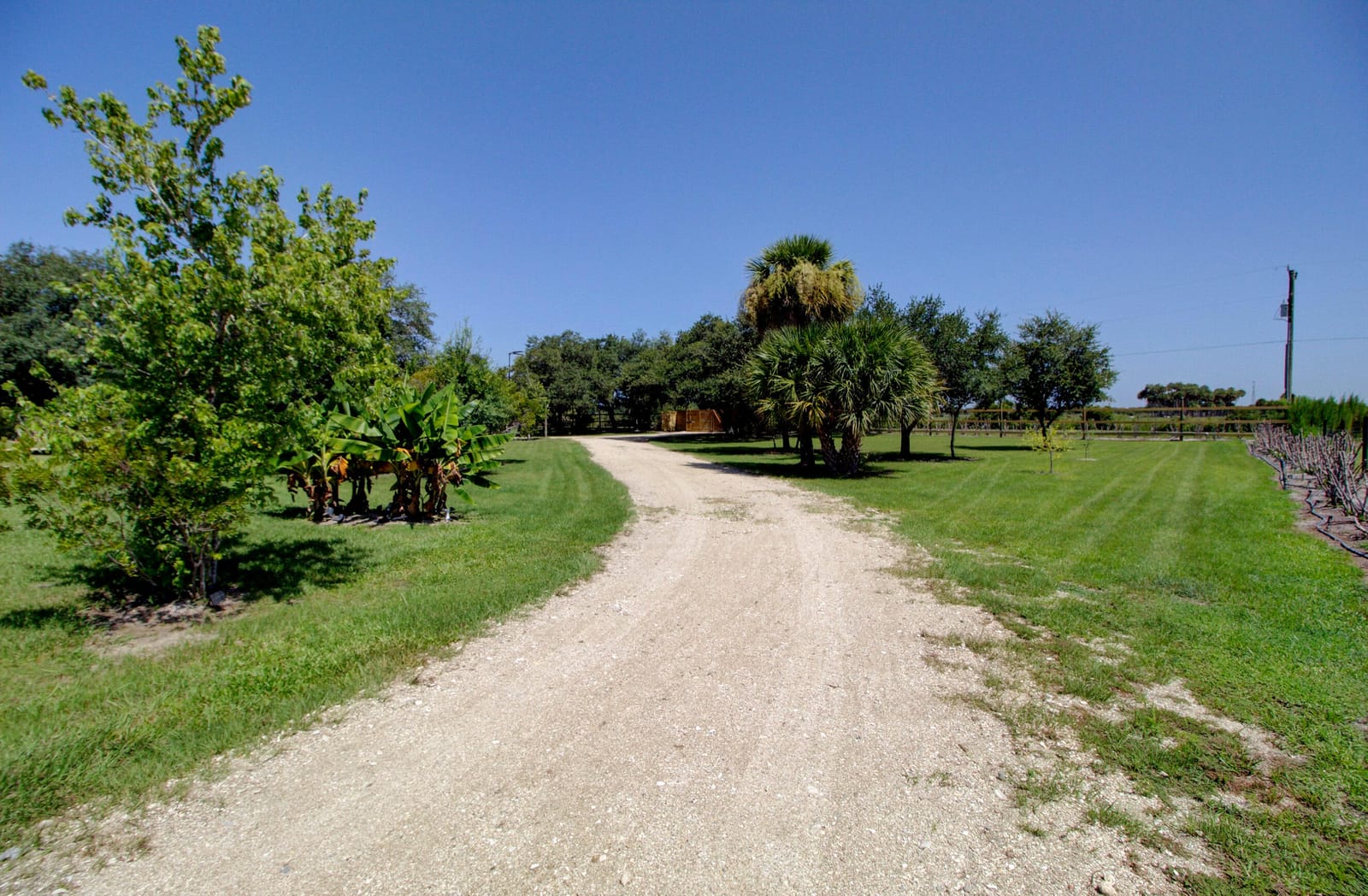 19034 NW 292ND Street, Okeechobee, FL 34972 photo 19