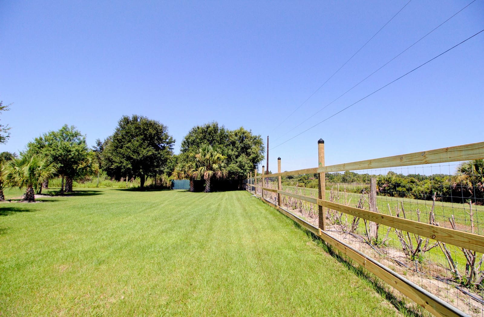 19034 NW 292ND Street, Okeechobee, FL 34972 photo 22