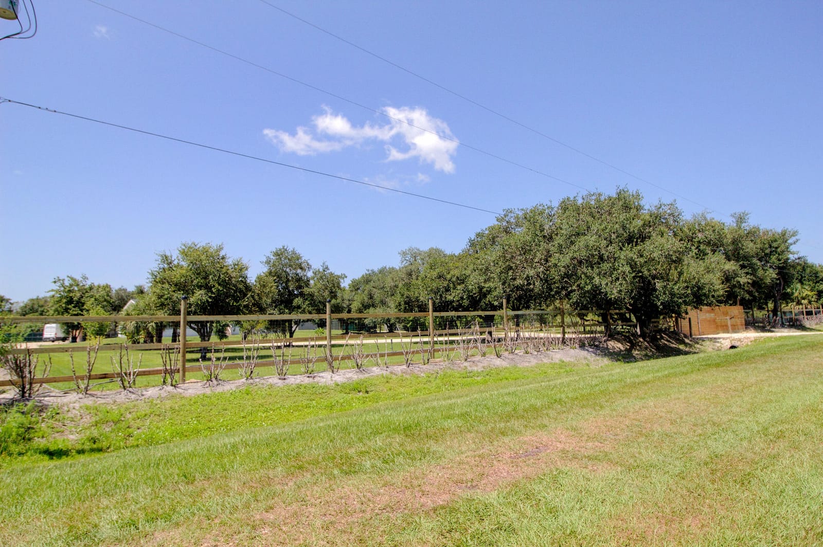 19034 NW 292ND Street, Okeechobee, FL 34972 photo 30