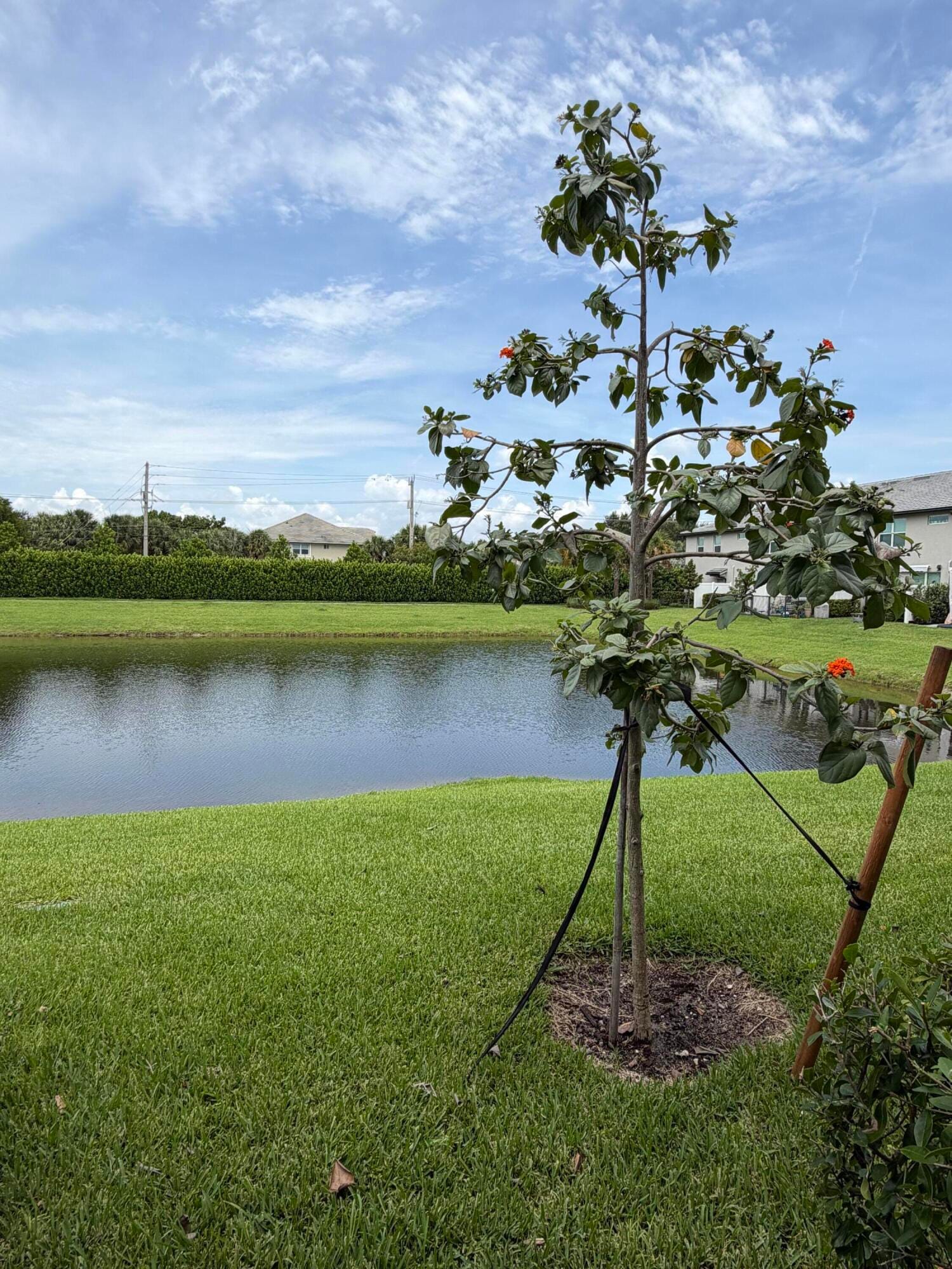 2933 OLIVIA Avenue, Lauderdale Lakes, FL 33311 photo 26