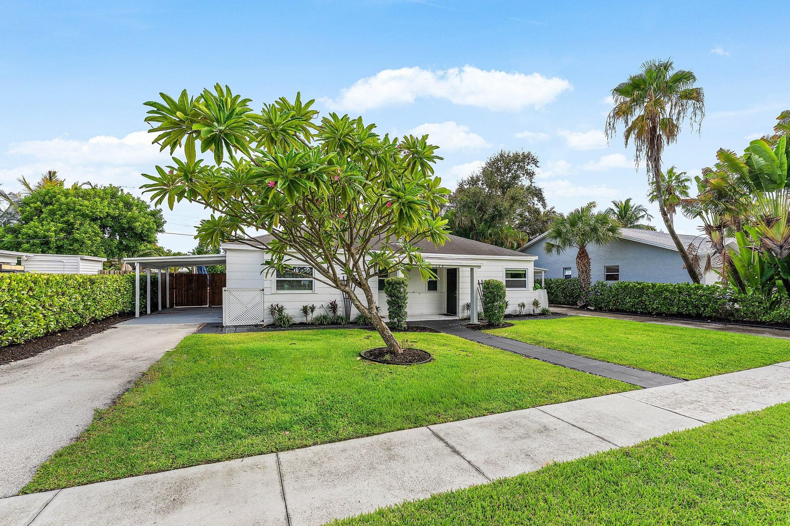 124 Mayfield Road — photo 4