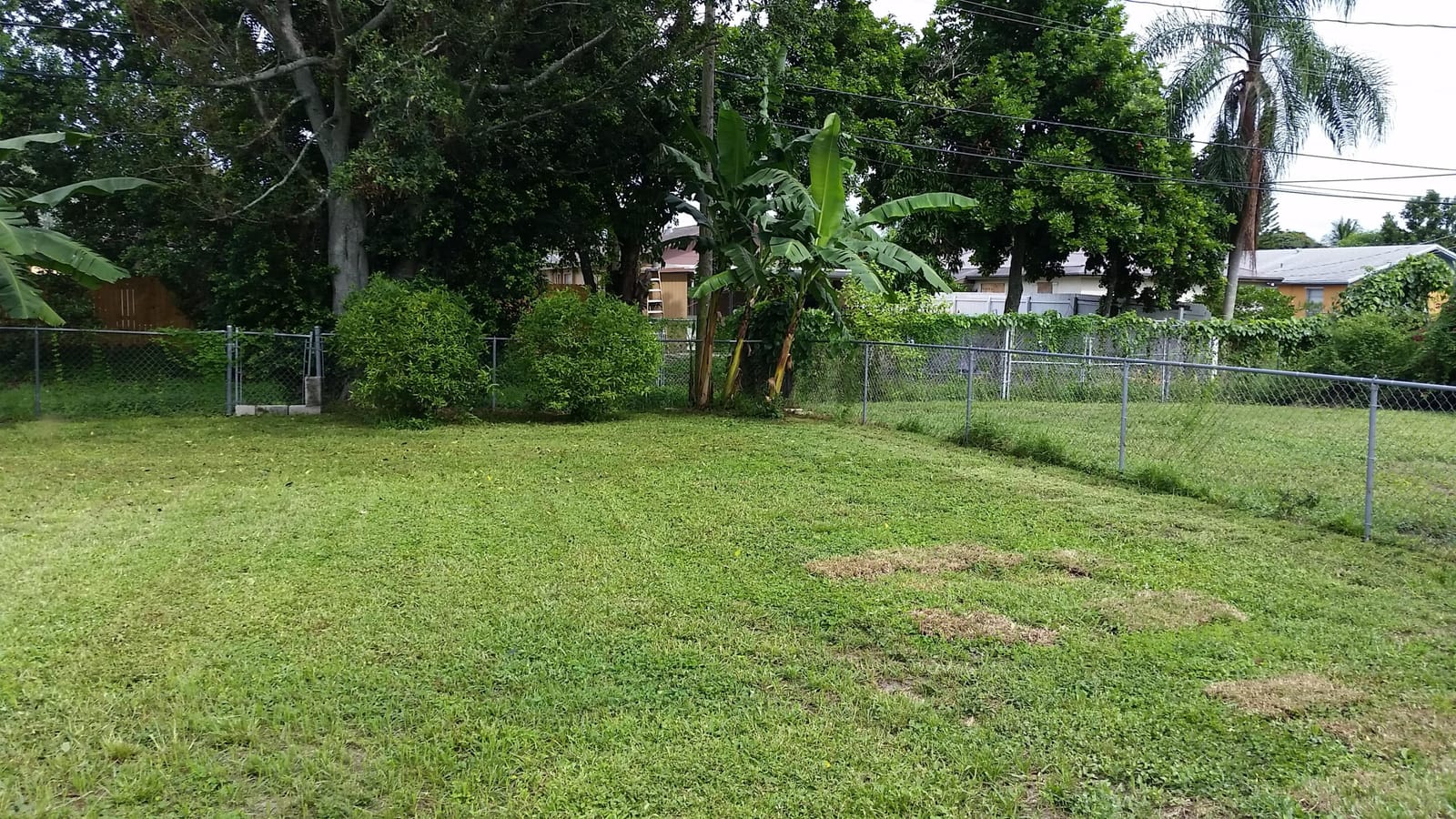 460 Fleming Avenue — photo 3