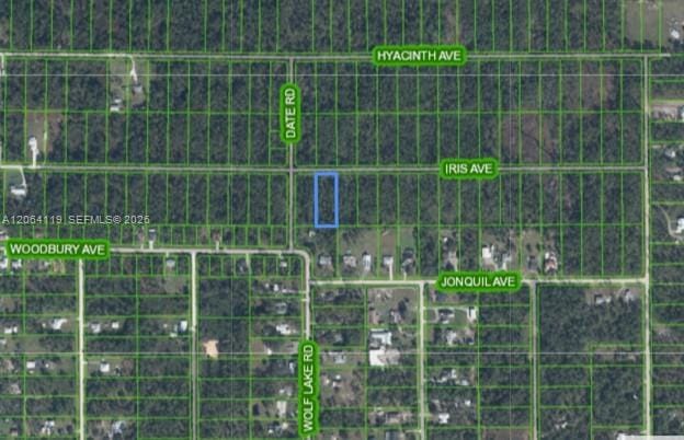 1141 Iris Avenue, Sebring, FL 33875