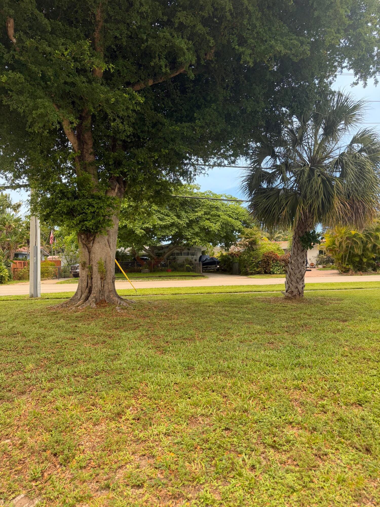 900 Citrus Isle — photo 2