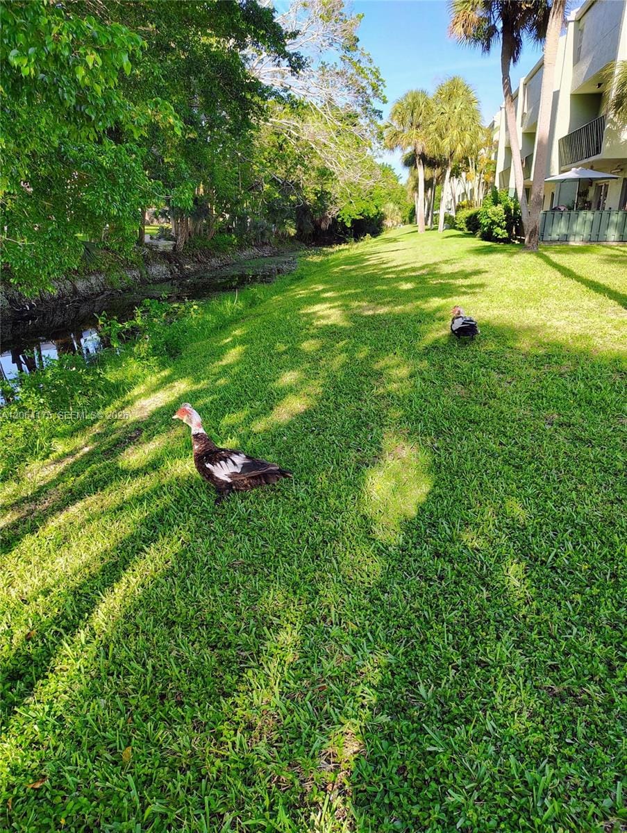8921 NW 28th Drive 62, Coral Springs, FL 33065 photo 26