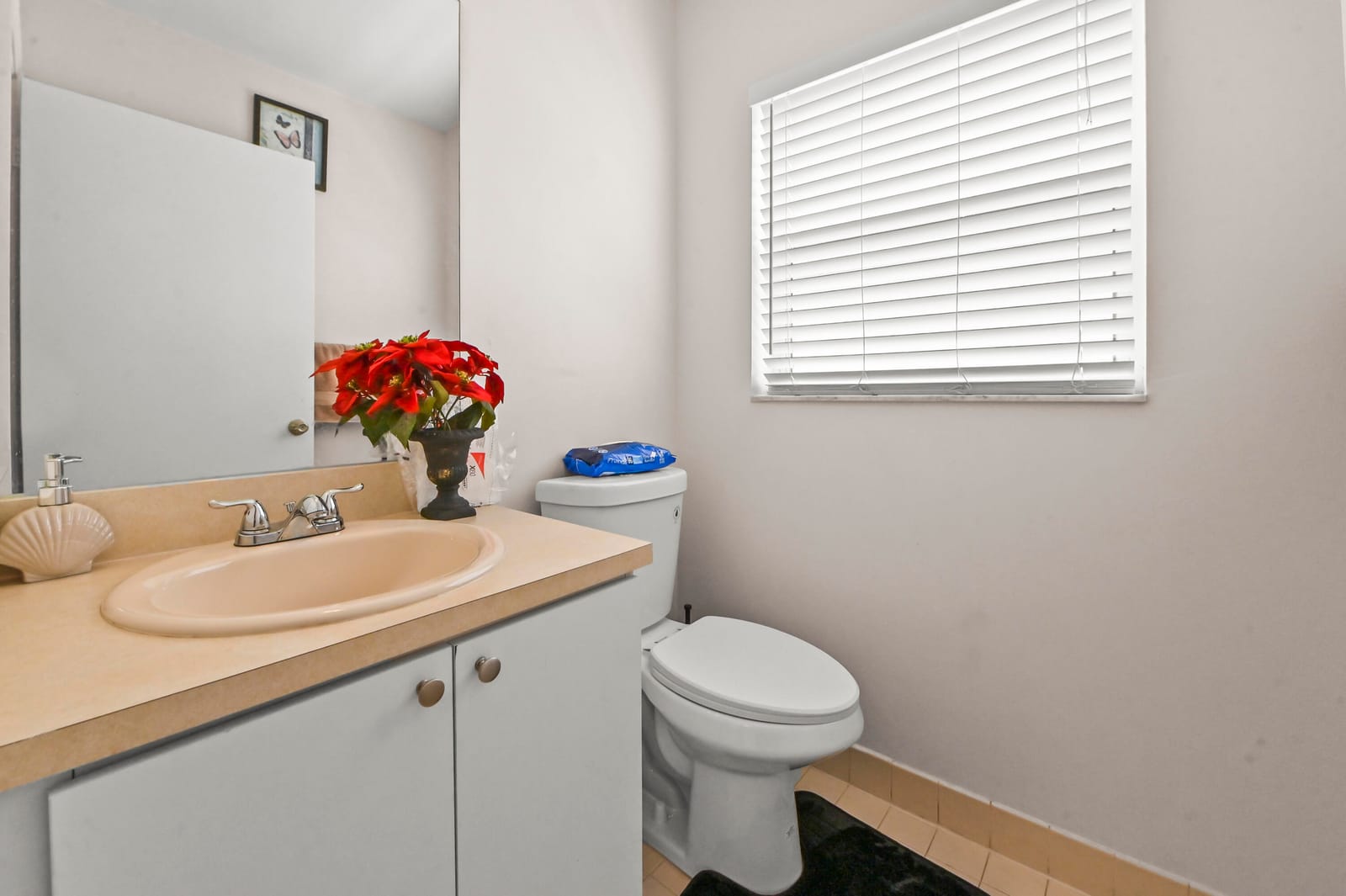 7581 BRISTOL BAY Lane — photo 11