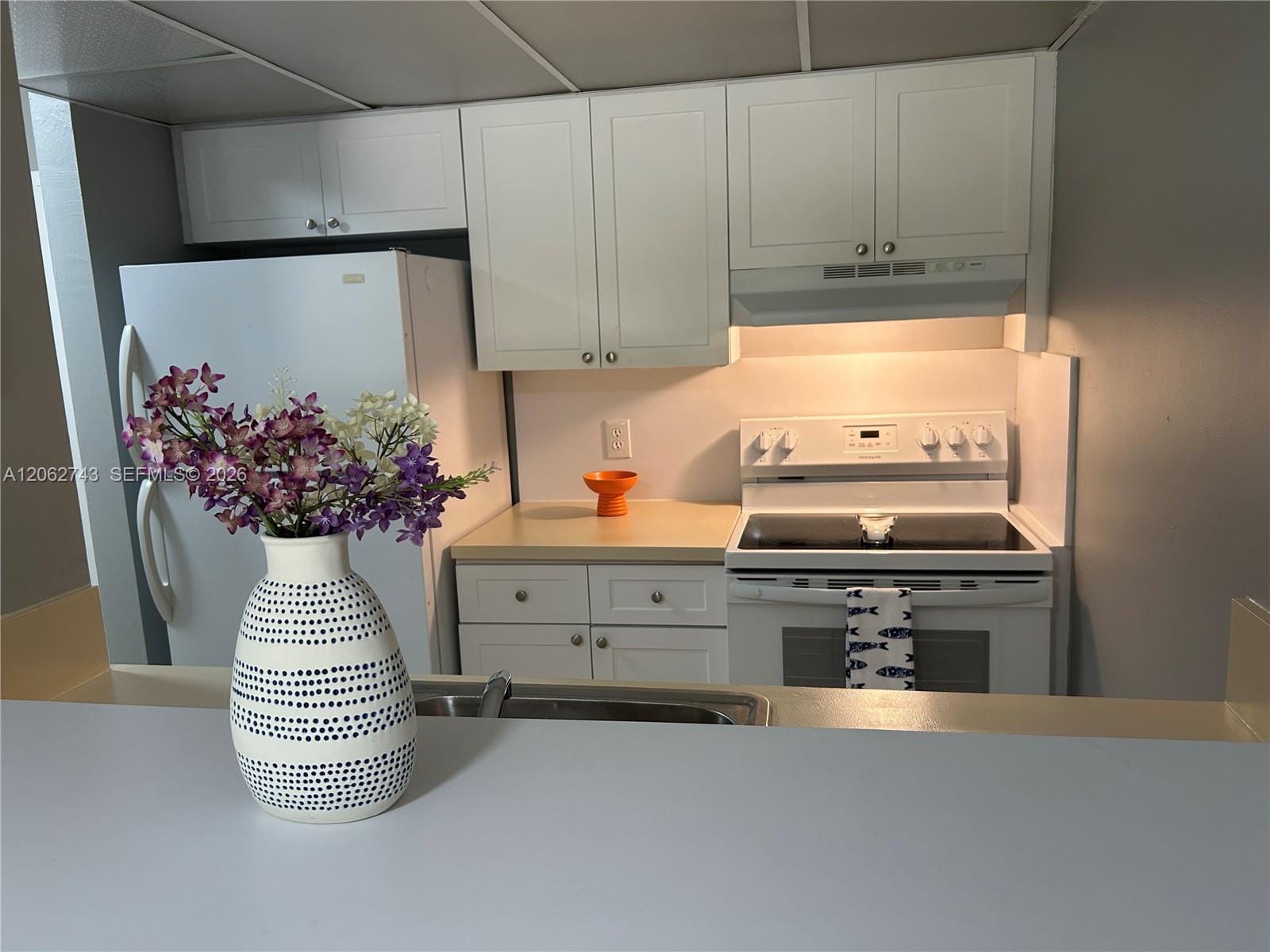 1225 NE 124th Street 27A, North Miami, FL 33161 photo 15