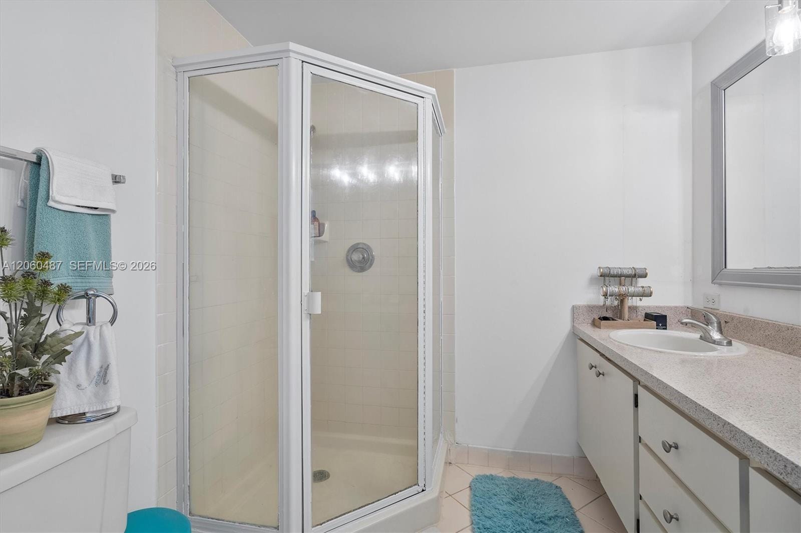 839 Blue Ridge Circle 839 — photo 5
