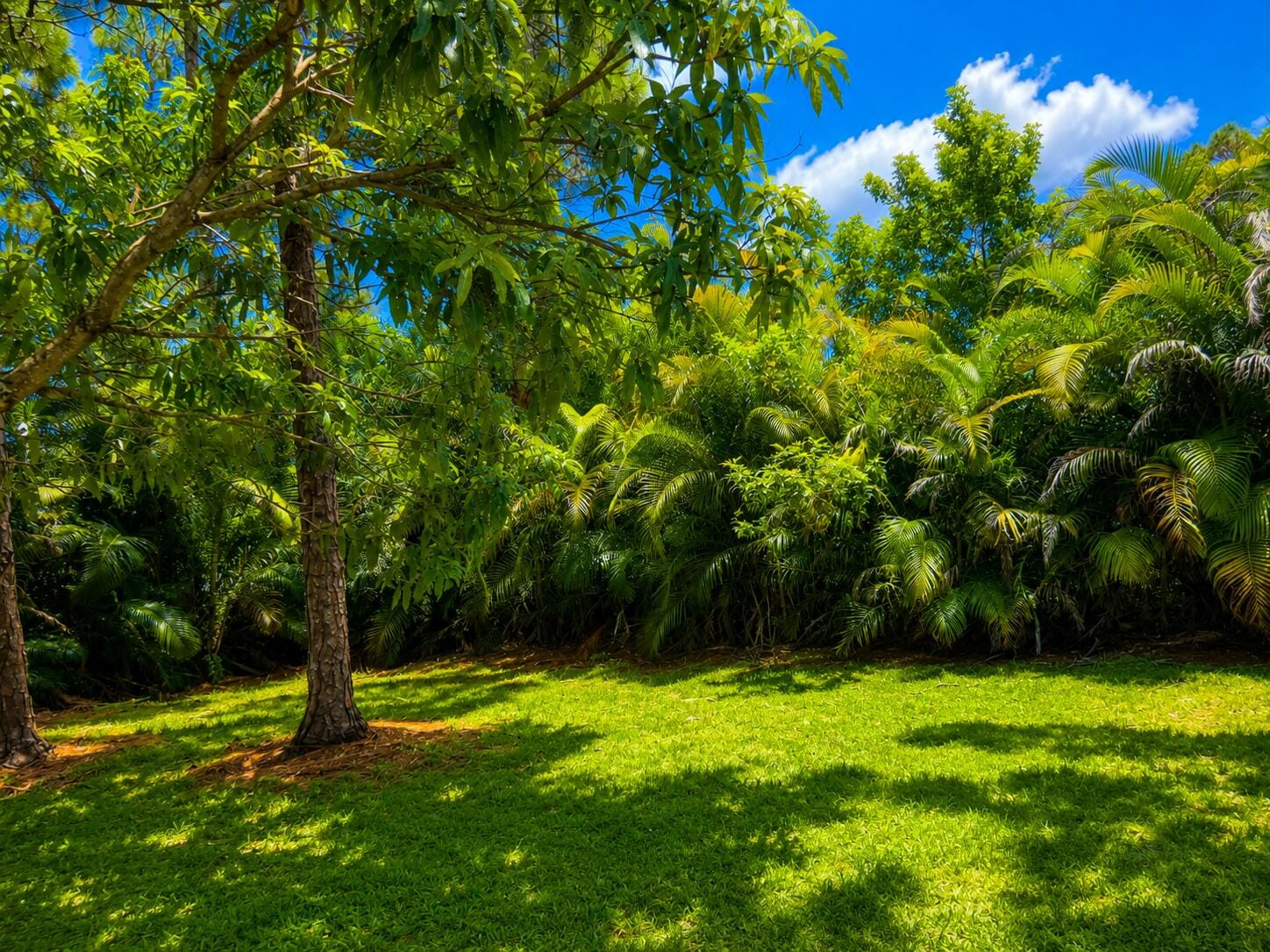 15057 60TH Place N, The Acreage, FL 33470 photo 29